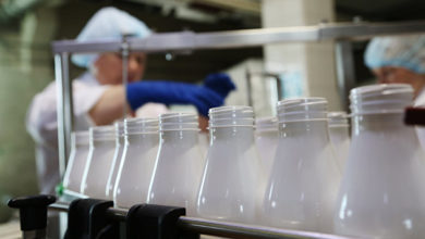 Photo of Крупнейшая молочная компания Вьетнама получила право на поставки продукции в Россию — ПРАЙМ, 17.06.2020
