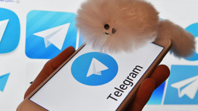 Photo of Telegram уже вернул инвесторам более $1,2 млрд, вложенных в проект TON — ПРАЙМ, 25.06.2020