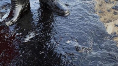 Photo of Разлив нефти нарушил планы Кремля по продаже зеленых облигаций |